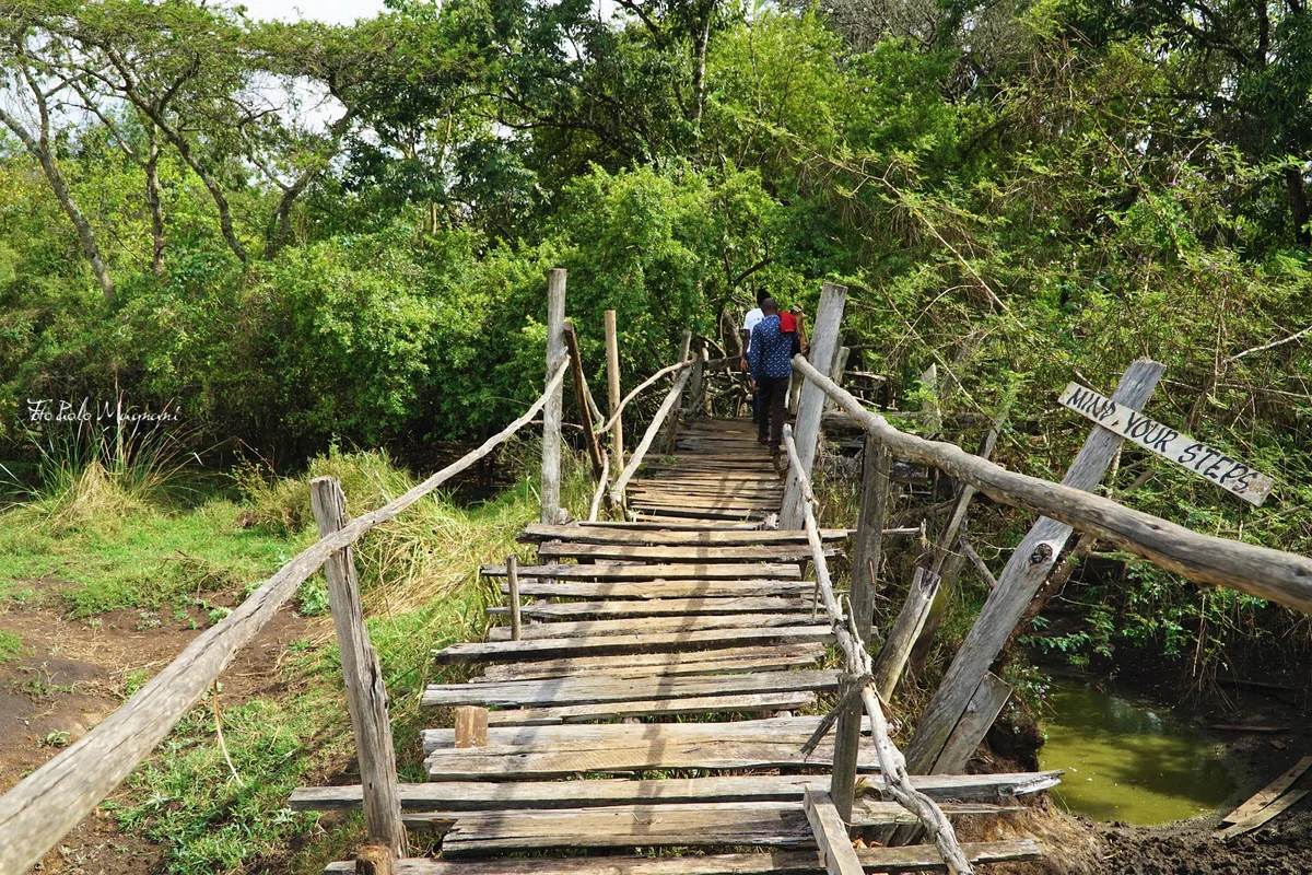 Kitale Nature Conservancy in Kitale - Ask AI | mindtrip
