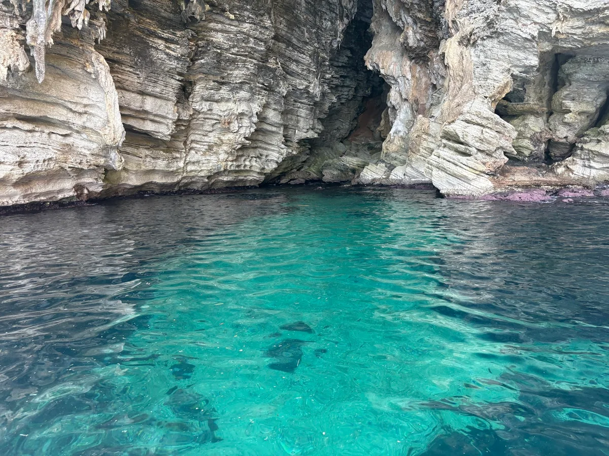 Zingaro Sea Experiences | What to Know Before You Go