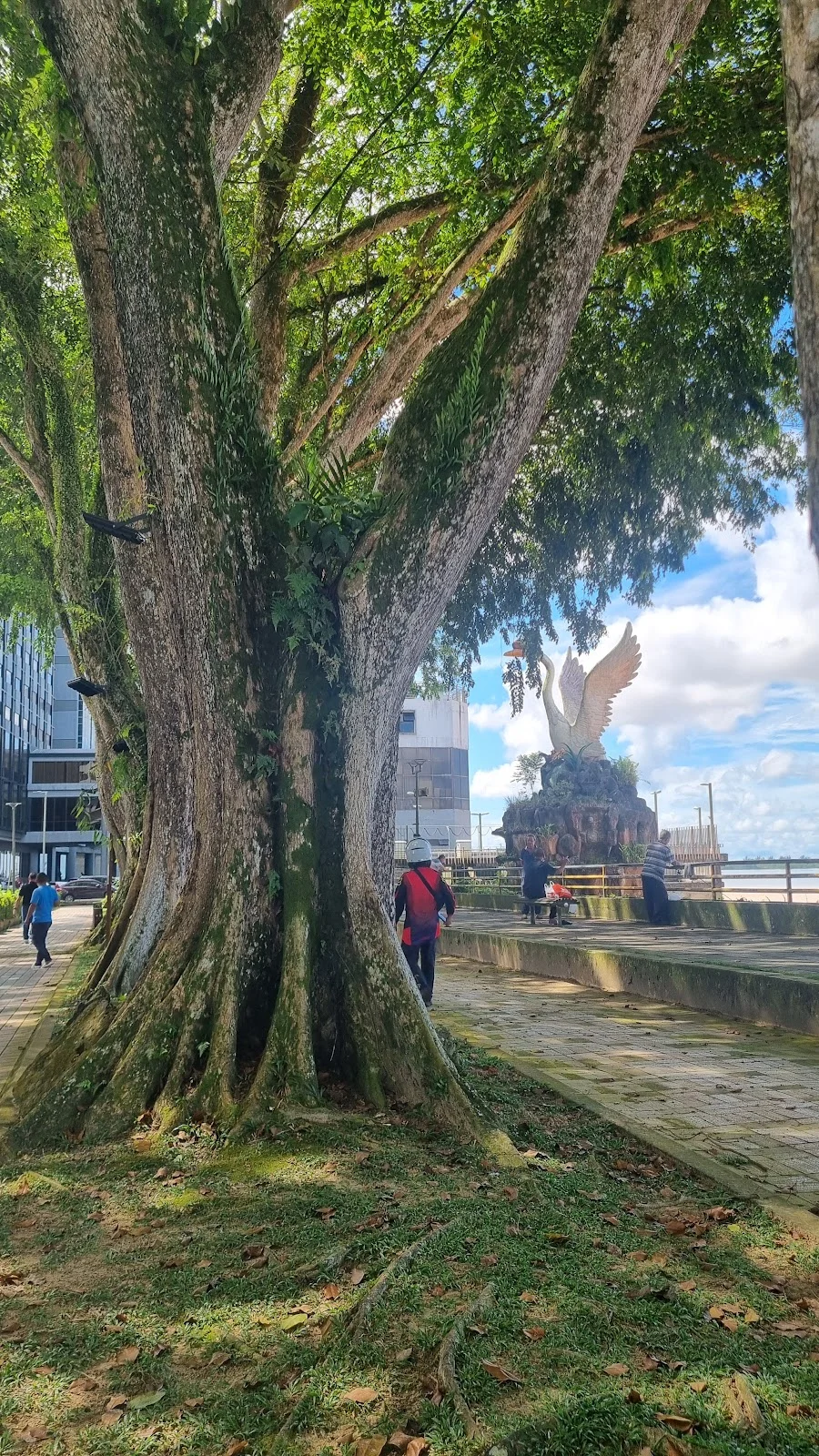 Sibu Swan Statue in Sibu, Sarawak - Ask AI | mindtrip