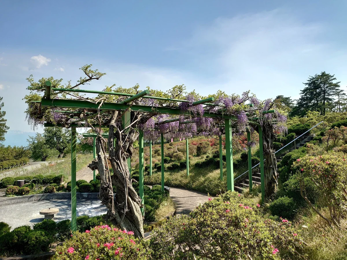 Sagae Park in Sagae, Yamagata - Ask AI | mindtrip