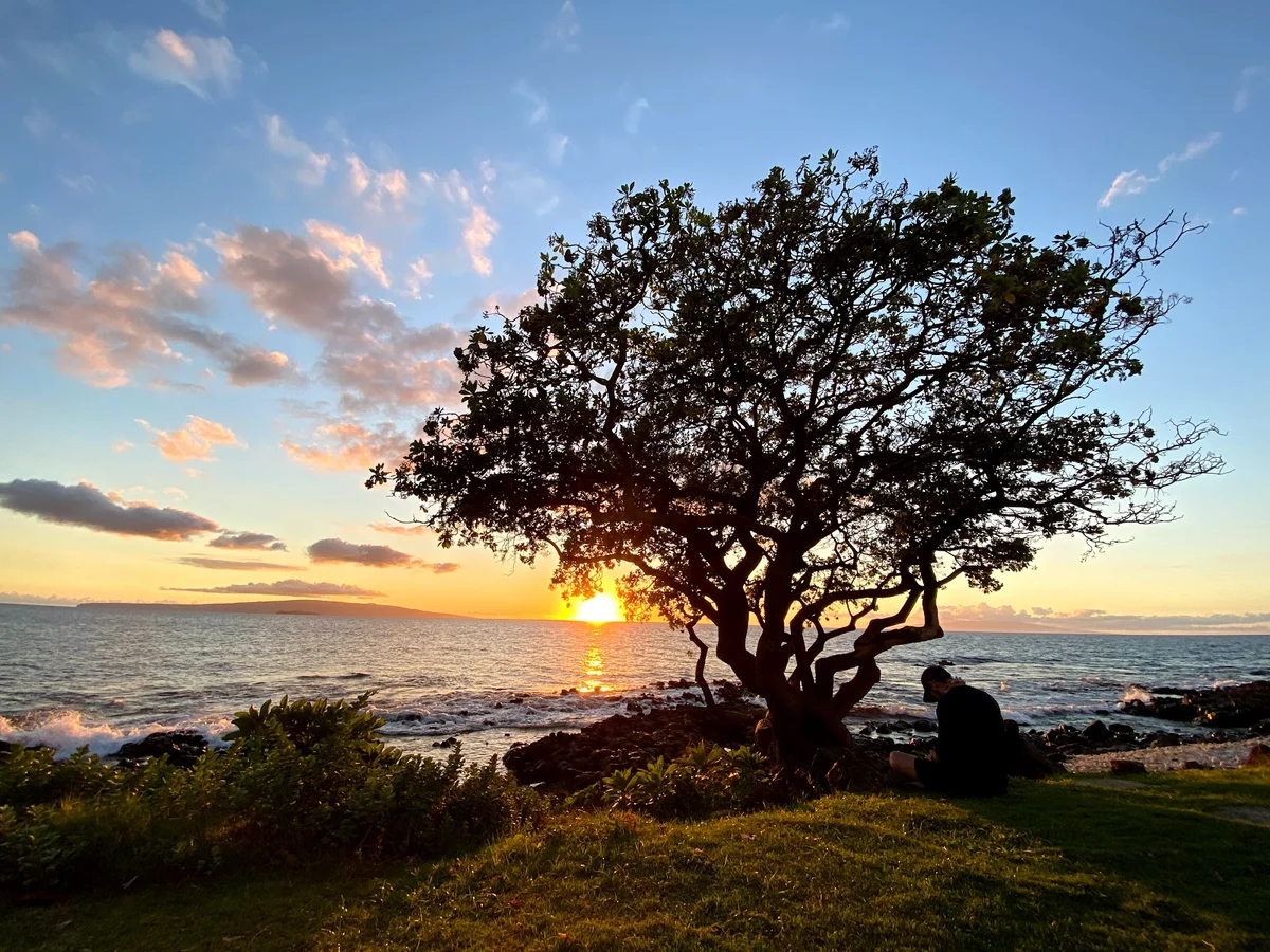 Wailea Beach Path in Wailea, Hawaii - Ask AI | mindtrip