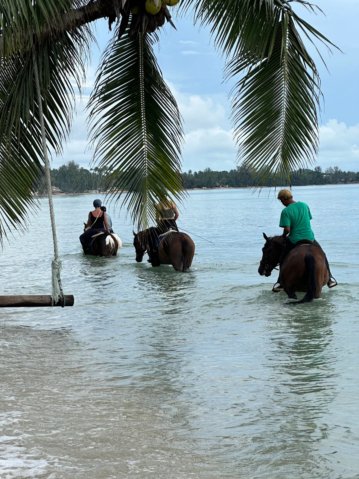 Fisherman Horse Riding Samui (Lipa Noi) - Ask AI | mindtrip
