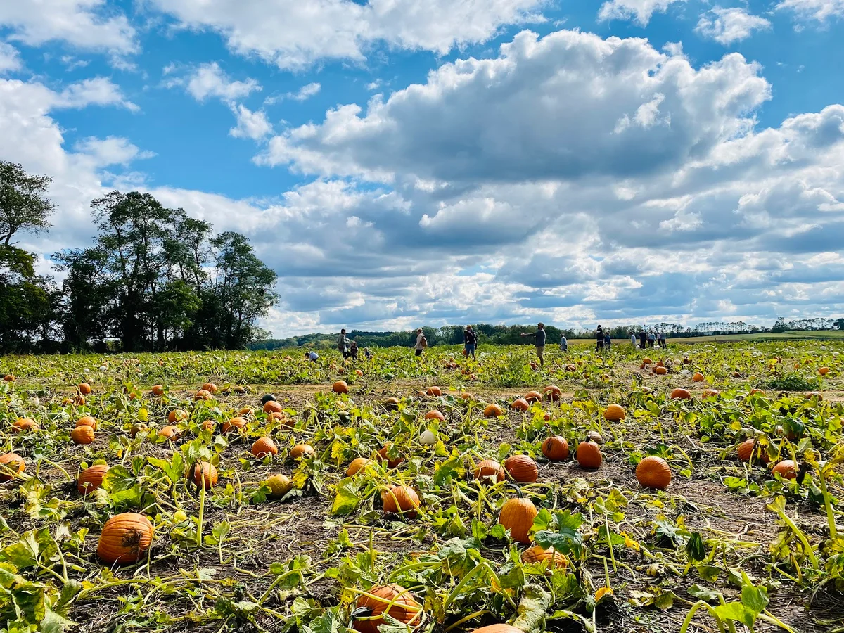 Bullock Farms in Cream Ridge, New Jersey - Ask AI | mindtrip