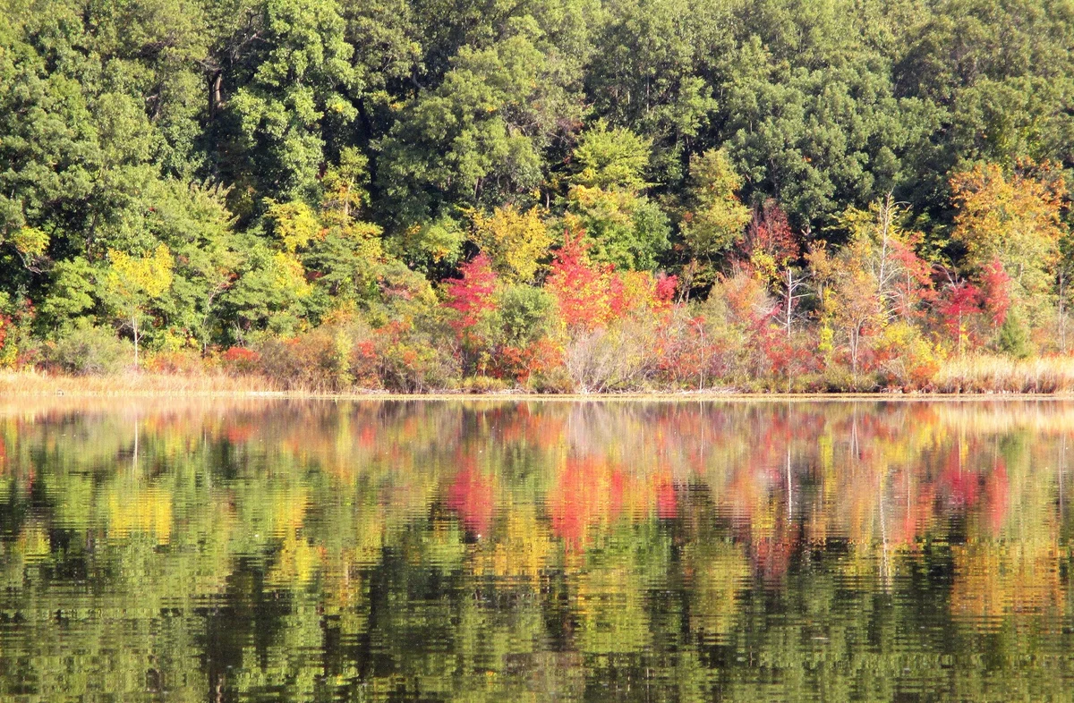 Teeple Lake in White Lake, Michigan - Ask AI | mindtrip