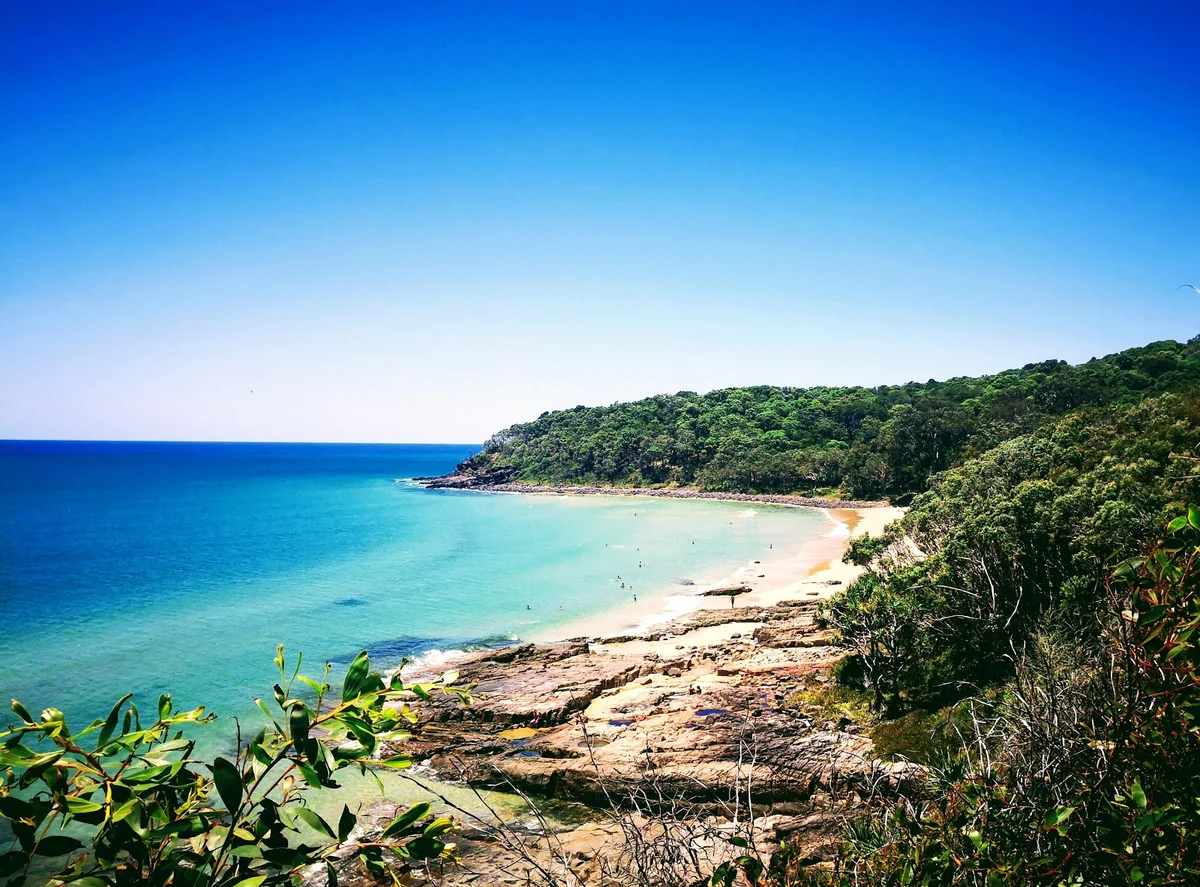 Tea Tree Bay in Noosa | What to Know Before You Go