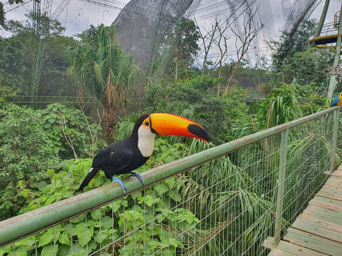 Biocentro Guembe Mariposario in Urubo - Ask AI | mindtrip