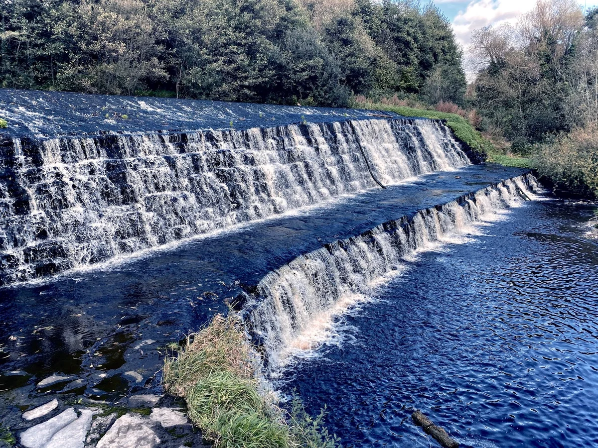 Dodder Valley Park in Templeogue - Ask AI | mindtrip