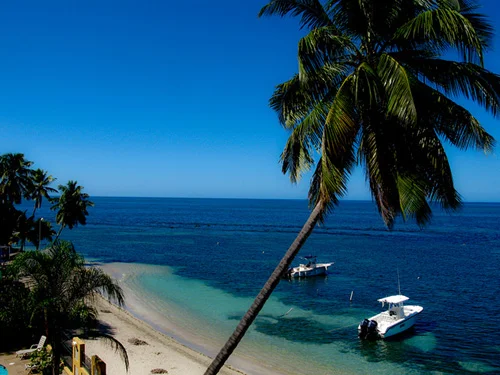 Laguna Joyuda in Guanajibo, Cabo Rojo | Ask Anything