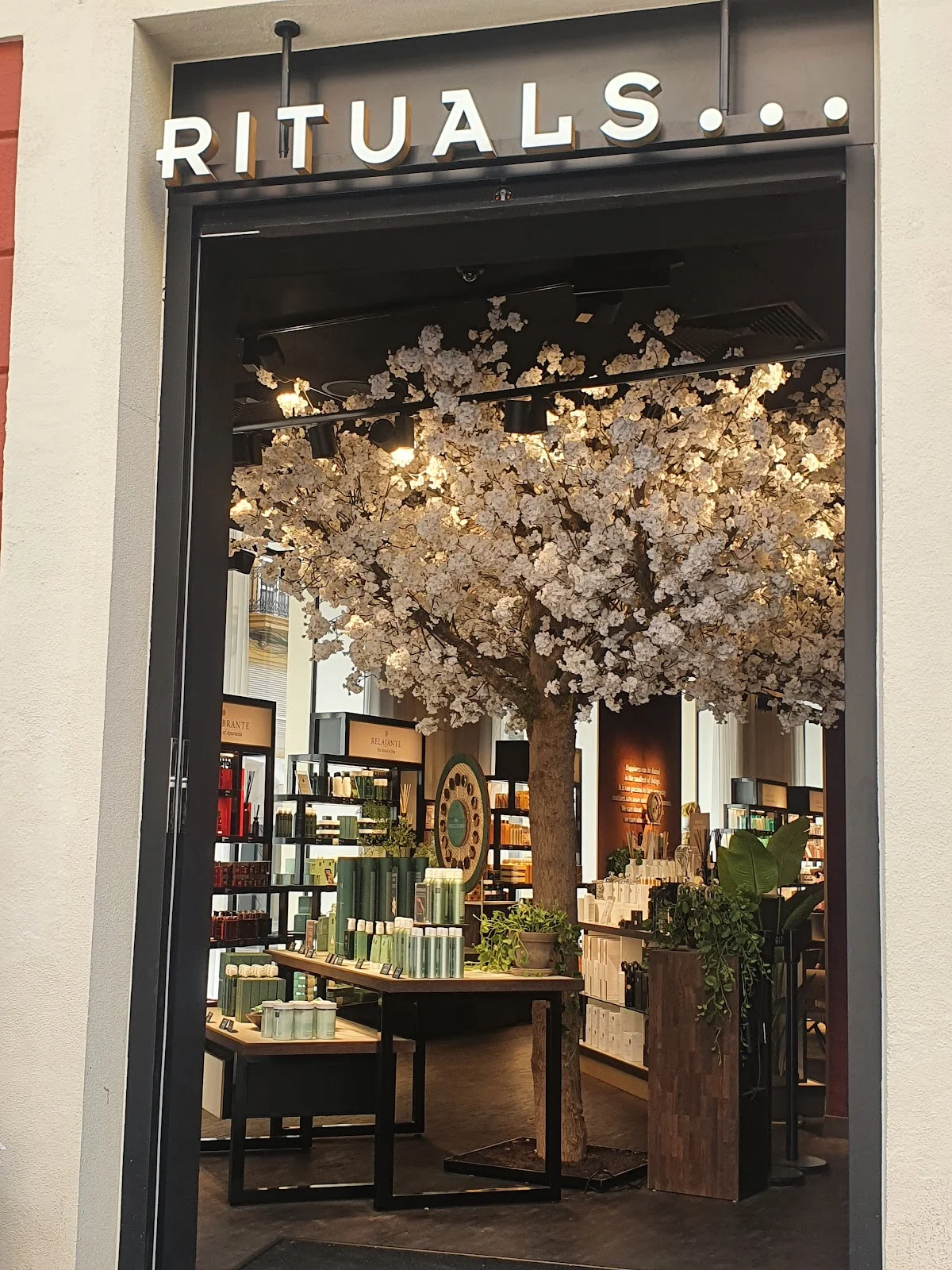 Rituals in Valencia | What to Know Before You Go