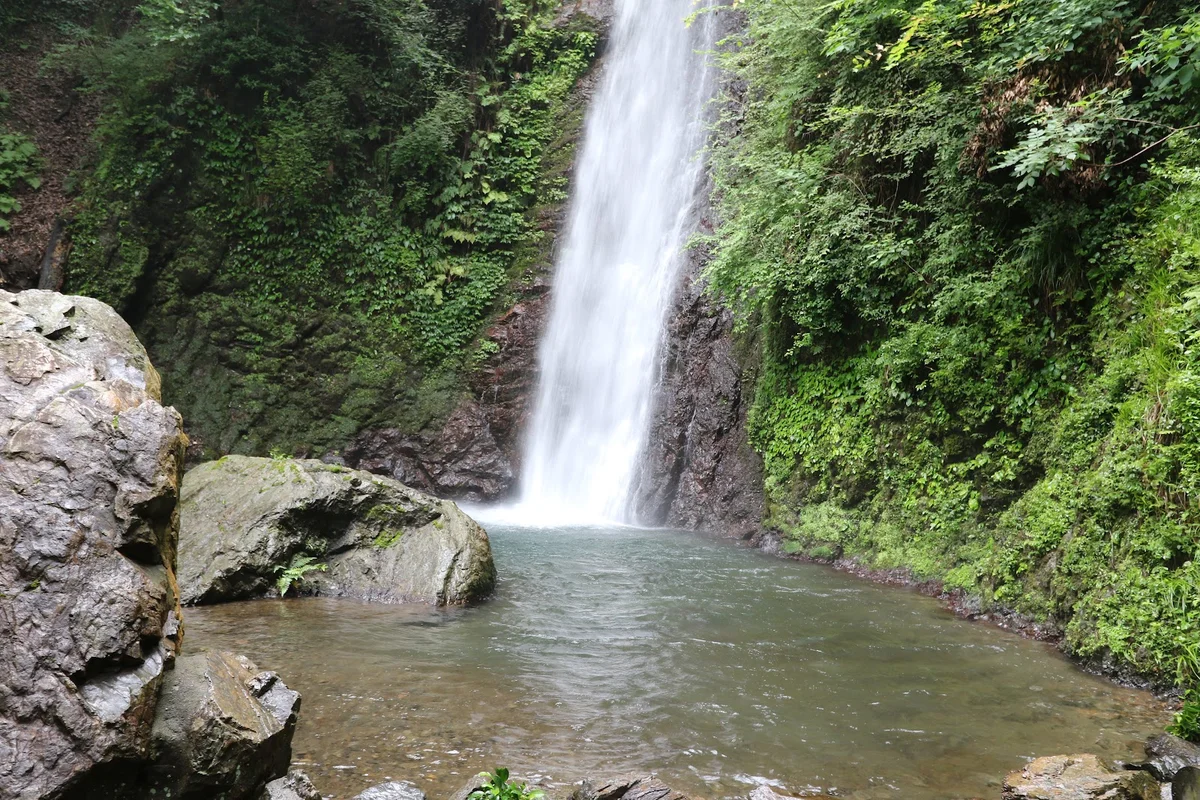 Yoro Falls in Yoro-cho | What to Know Before You Go