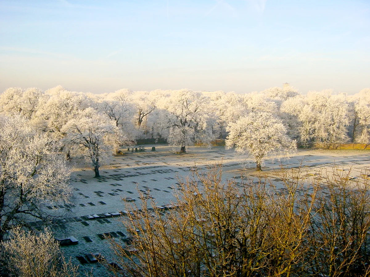 Jewish Cemetery in The Hague - Ask AI | mindtrip