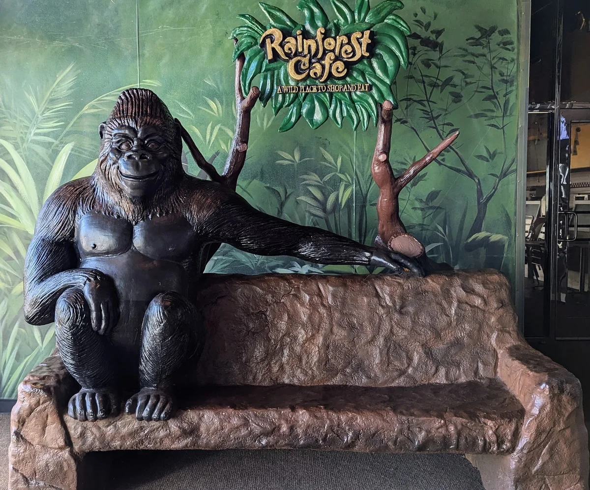 Rainforest Cafe | What to Know Before You Go