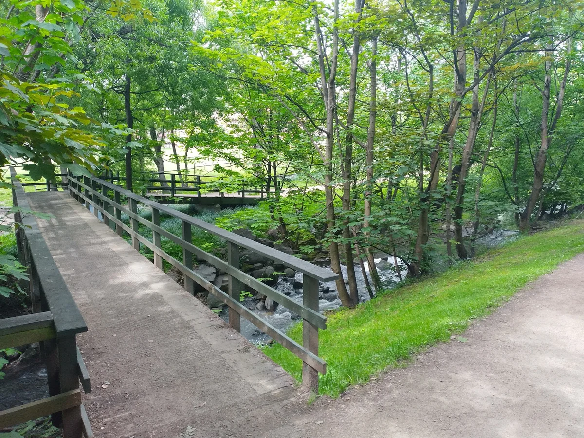 Hobart Rivulet in Hobart | What to Know Before You Go