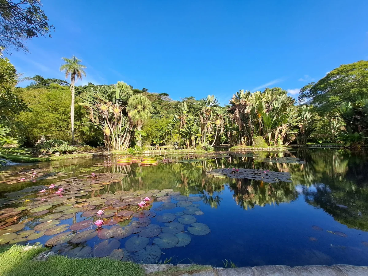 Botanical Garden of Rio de Janeiro