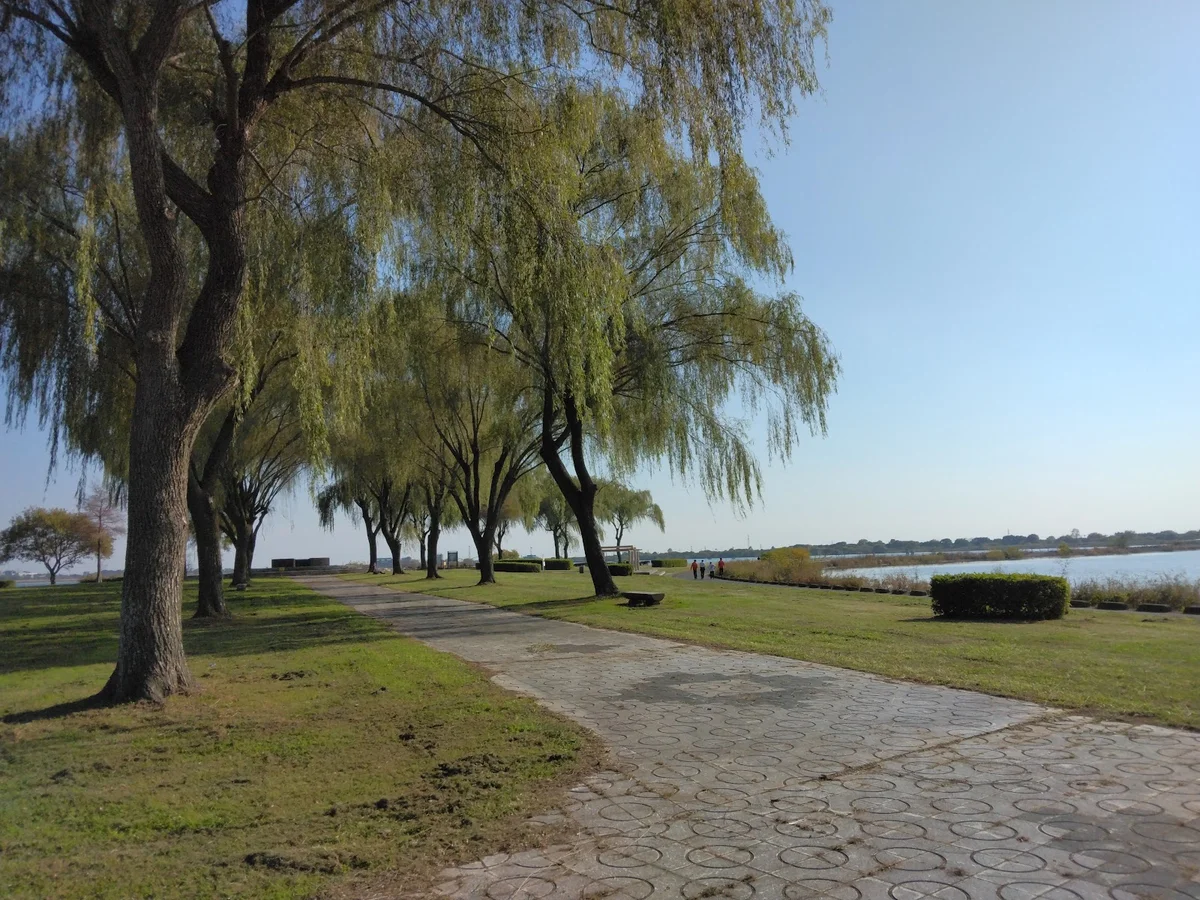 Watarase Yusuichi Wetlands Museum - Ask AI | mindtrip
