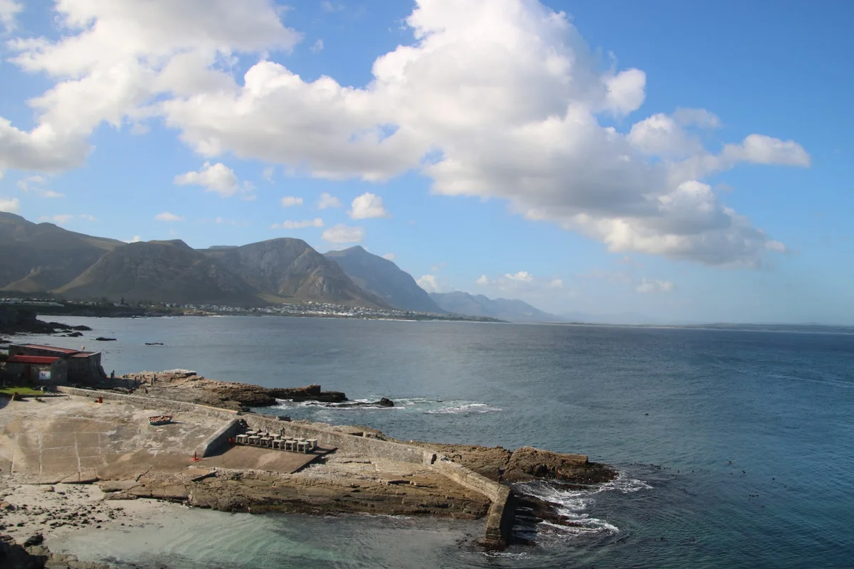 Hermanus Biodiversity Walk | What to Know Before You Go