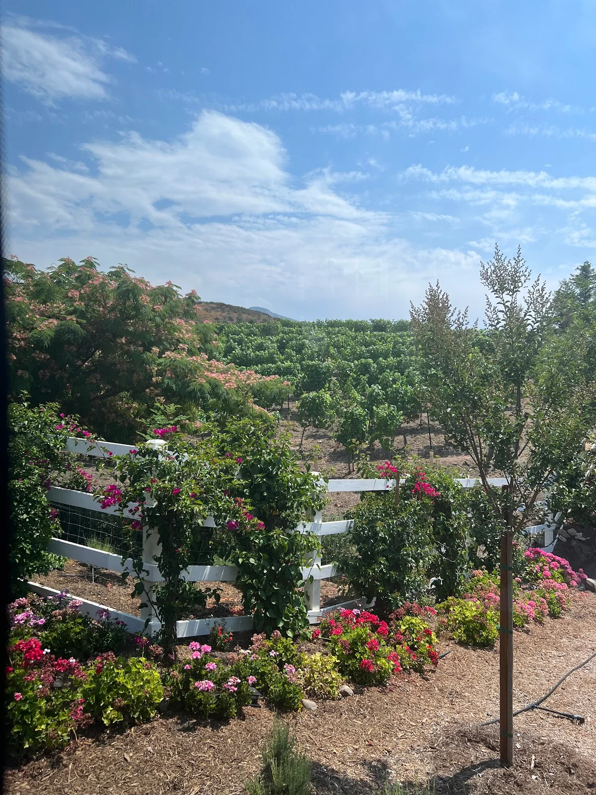 Casa Loce in Ojai, California | Ask Anything