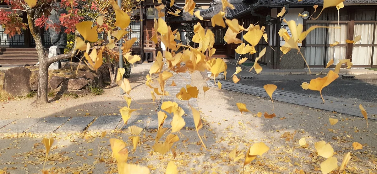 Joshin Temple in Kasaoka, Okayama Prefecture | Ask Anything