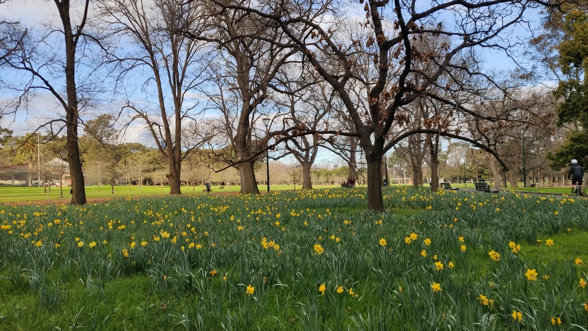 Fawkner Park in Melbourne | What to Know Before You Go