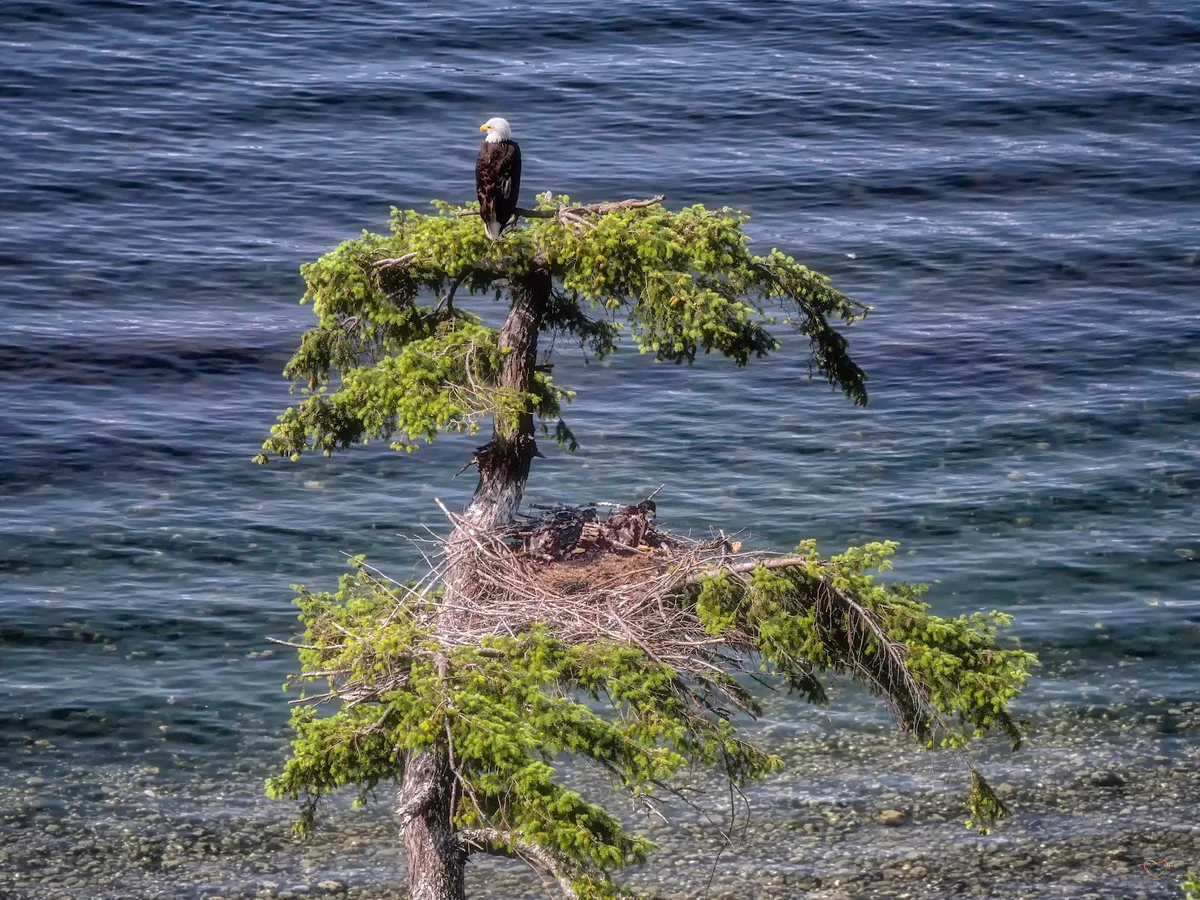 Boyle Point Provincial Park | What to Know Before You Go
