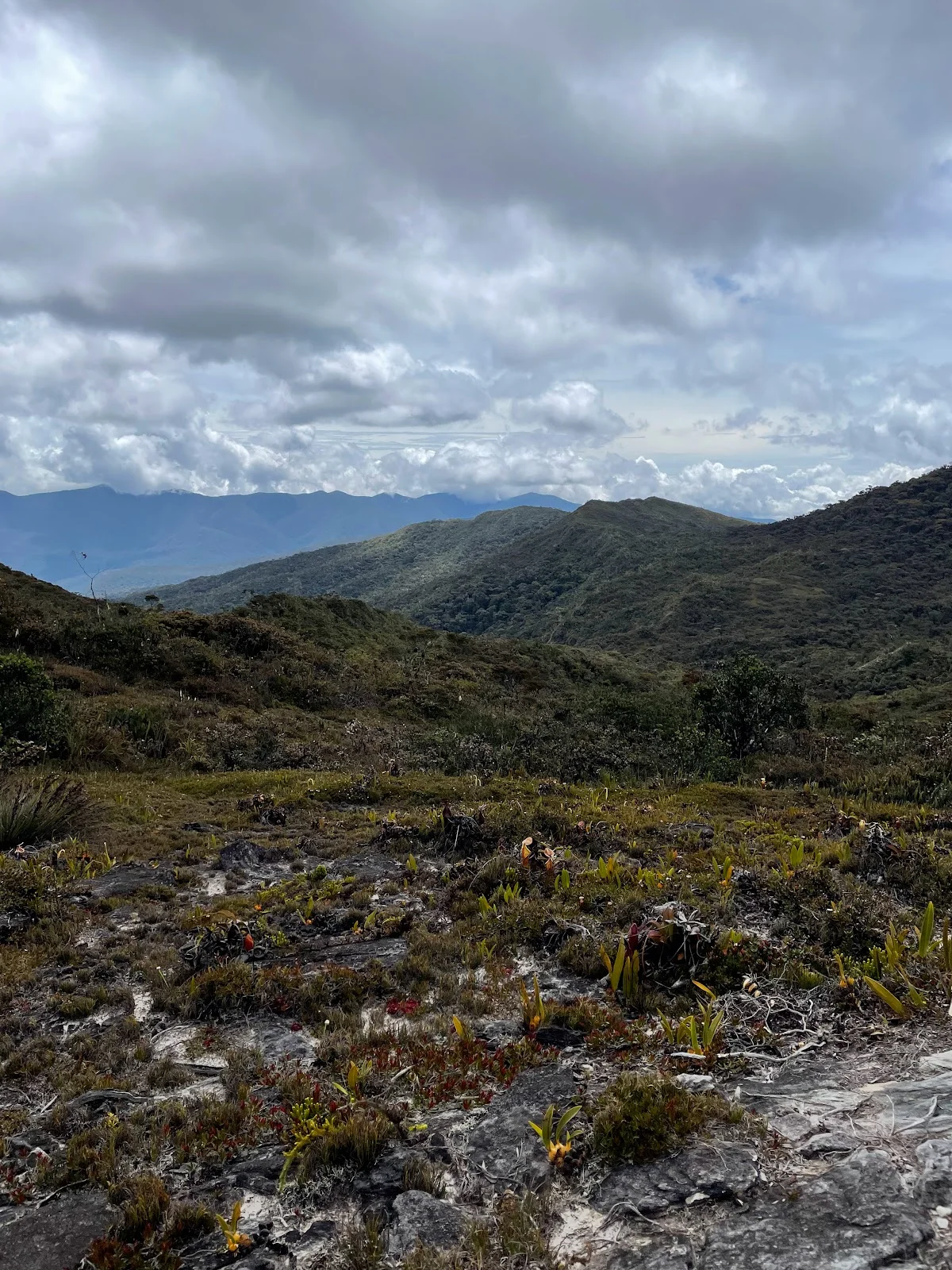 Mt. Leuser in Aceh - Ask AI | mindtrip
