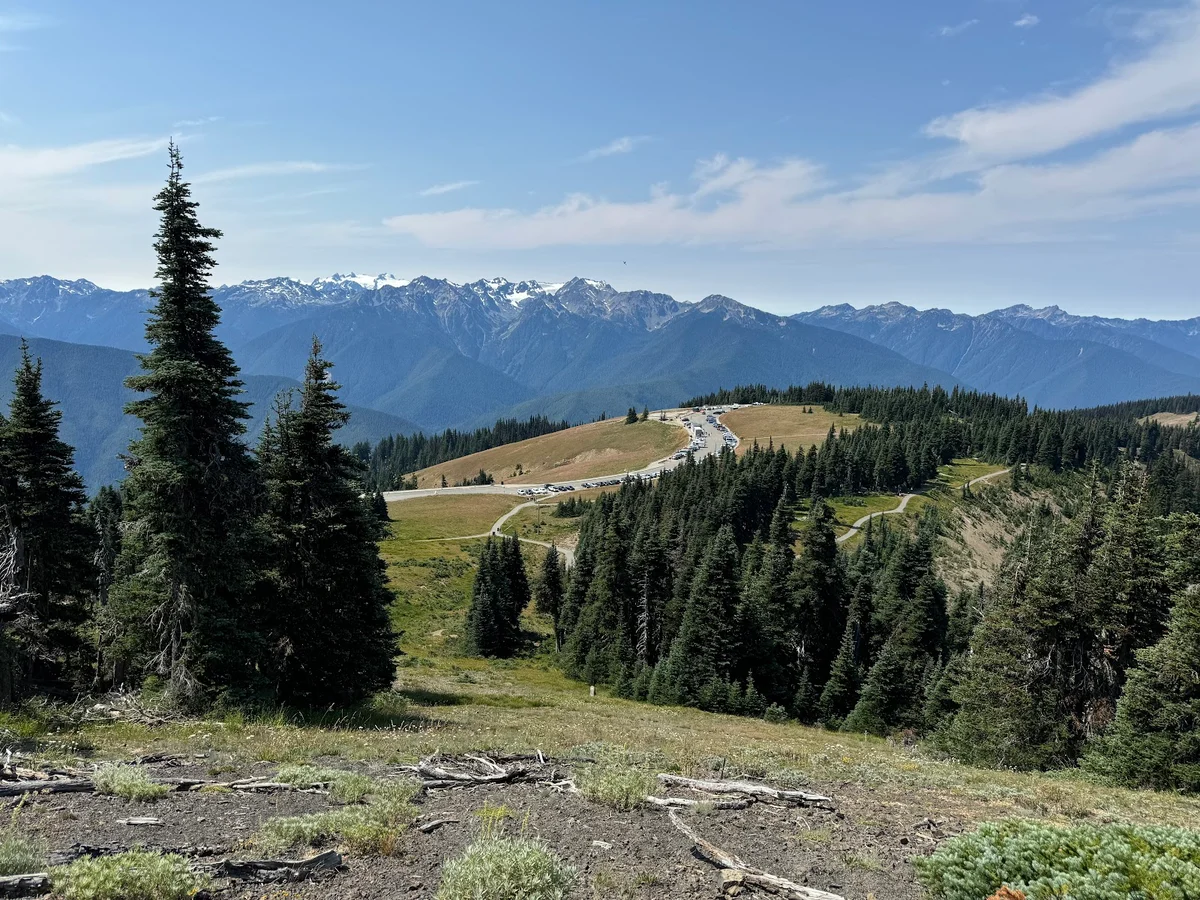 Hurricane Ridge Loop Trailhead - Ask AI | mindtrip