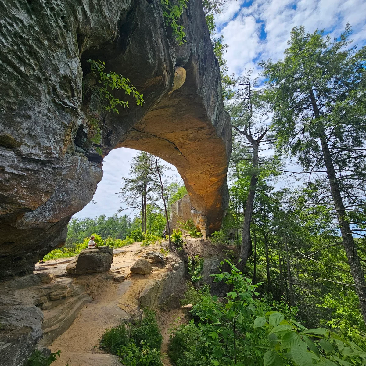 Sky Bridge Arch in Pine Ridge, Kentucky - Ask AI | mindtrip