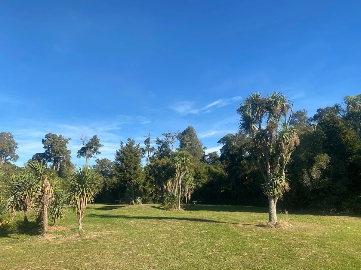 Talbot Forest Scenic Reserve | What to Know Before You Go