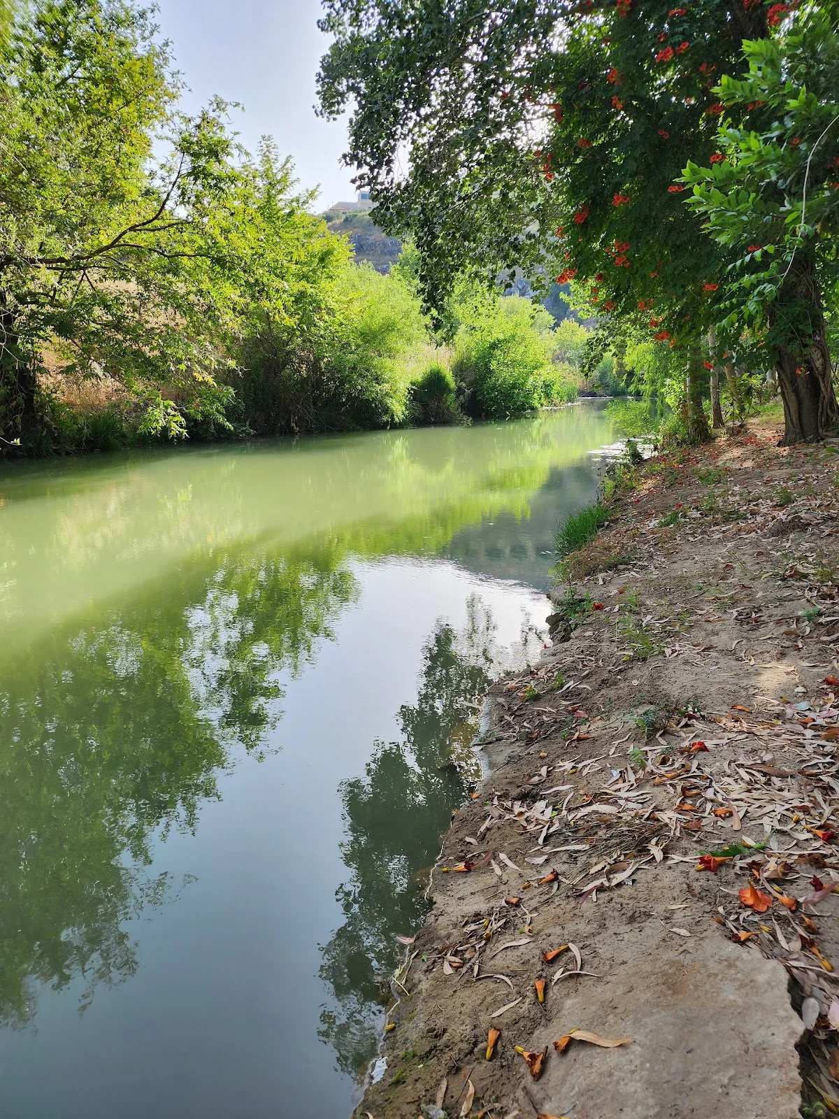 Litani River in Nabatieh - Ask AI | mindtrip