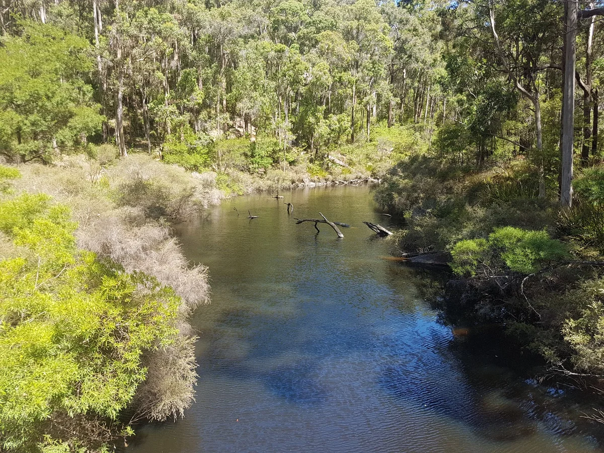 One Tree Bridge in Manjimup - Ask AI | mindtrip