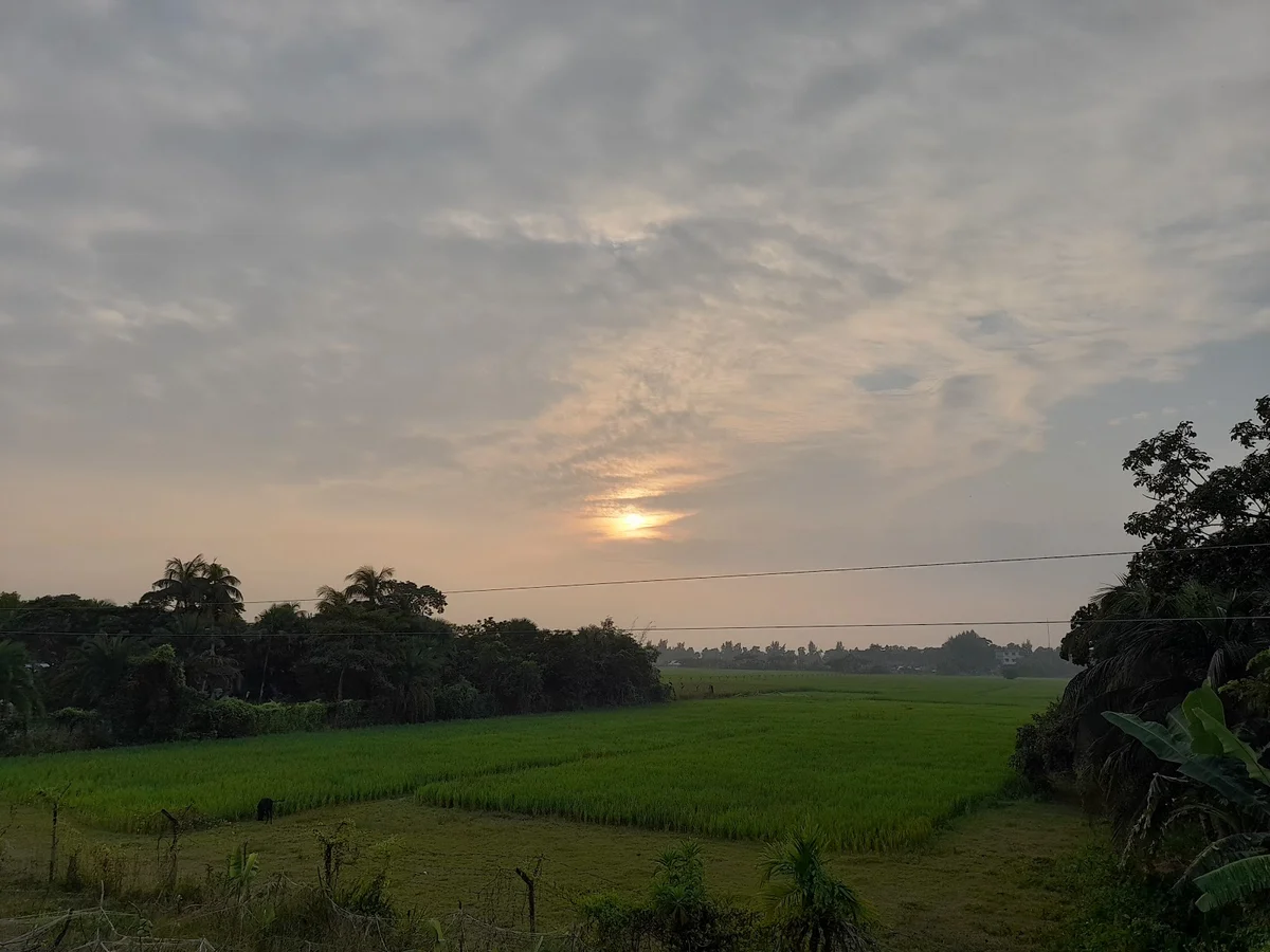 Nilima Point in Barisal Division | Ask Anything