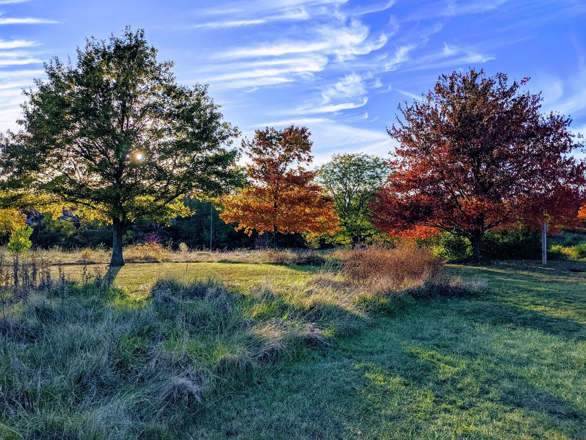 Dunham Recreation Complex | What to Know Before You Go