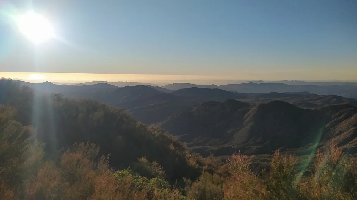 Condor Viewpoint | What to Know Before You Go