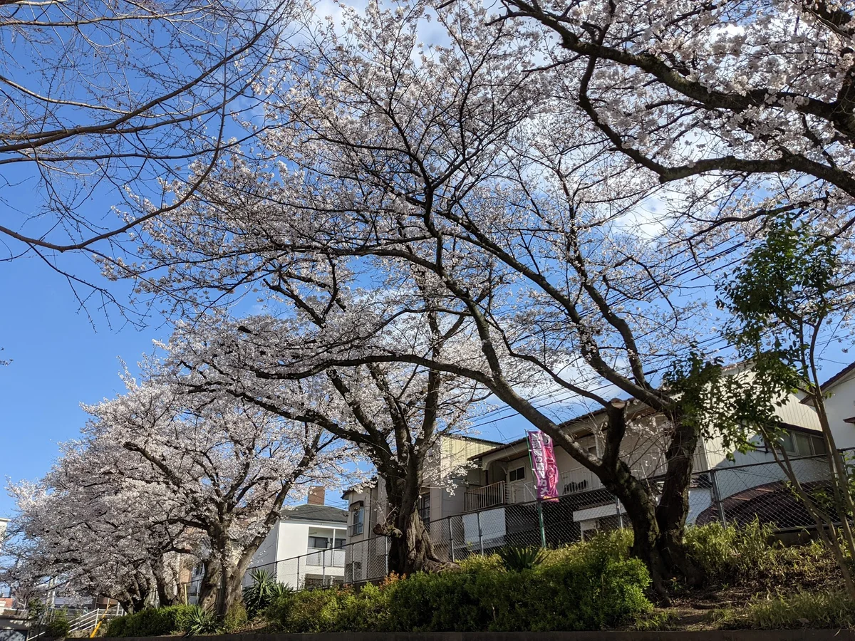 Takeoka Park in Onojo - Ask AI | mindtrip