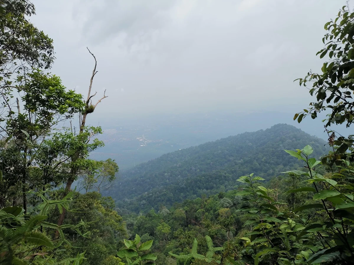 Gunung Angsi in Seremban - Ask AI | mindtrip