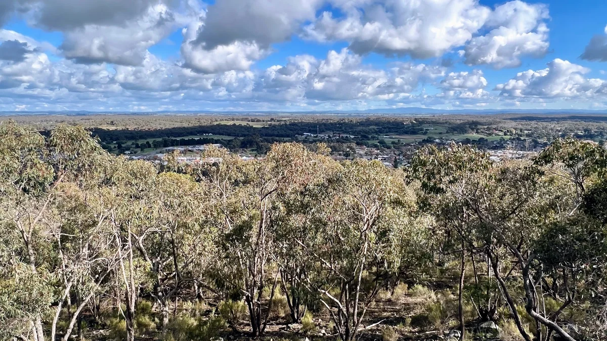 Viewing Rock Lookout | What to Know Before You Go