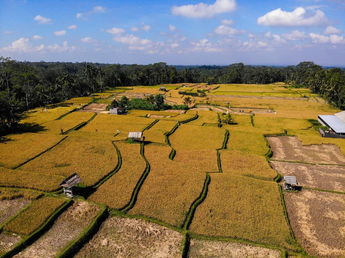 Bali Wana Adventure in Bresela, Bali | Ask Anything