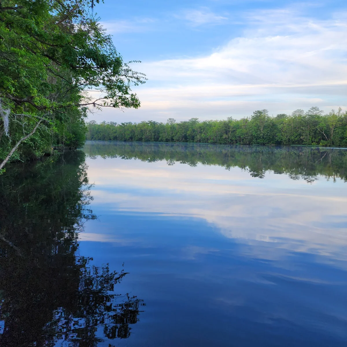 Northeast Cape Fear River | What to Know Before You Go