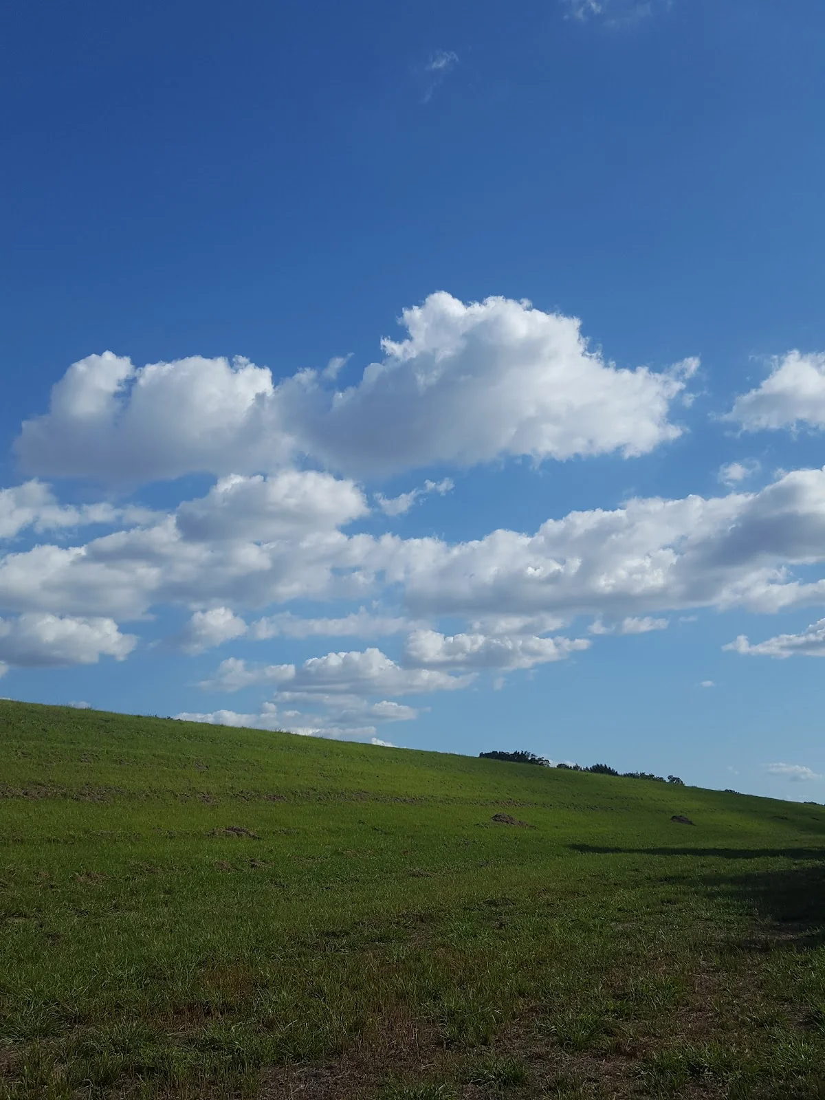 Addicks Reservoir in Houston | What to Know Before You Go