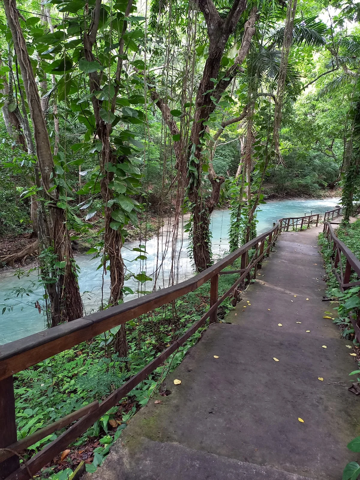 White River in Ocho Rios, Saint Ann Parish | Ask Anything