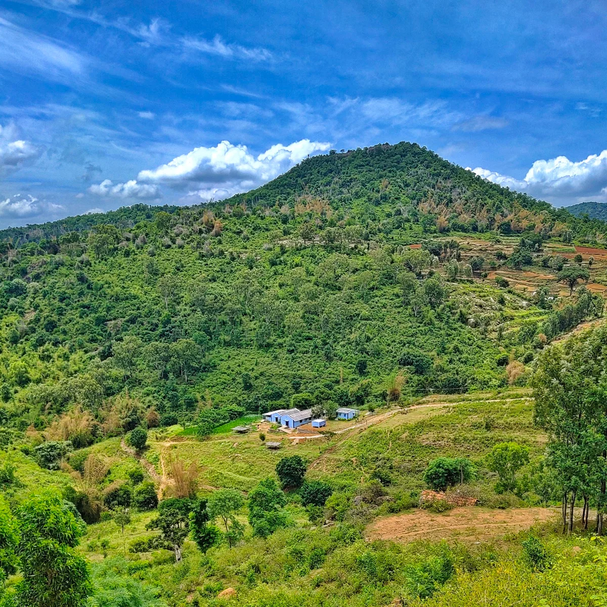 Bargur Cattle Research Station - Ask AI | mindtrip