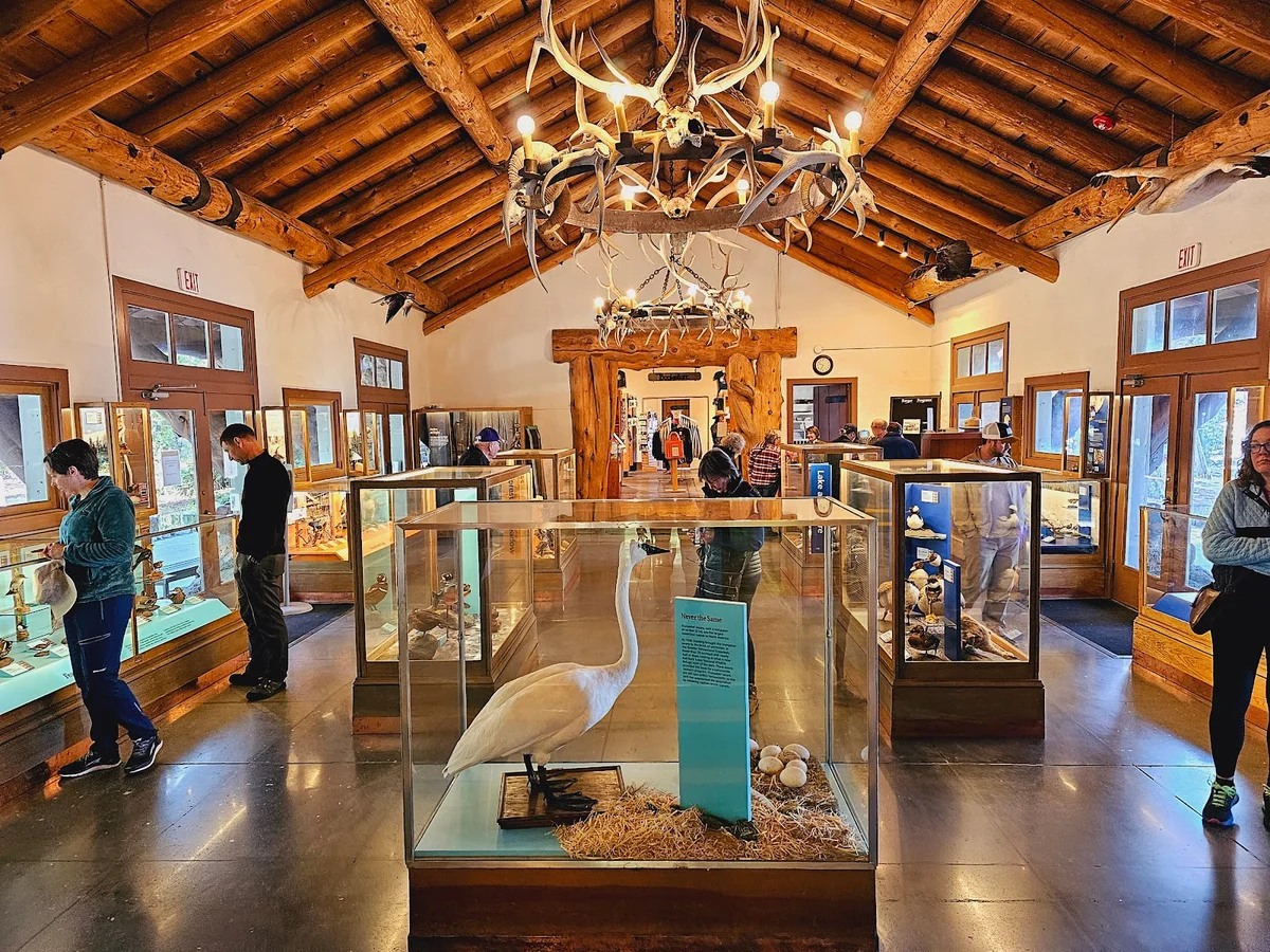 Fishing Bridge Visitor Center in Wyoming | Ask Anything