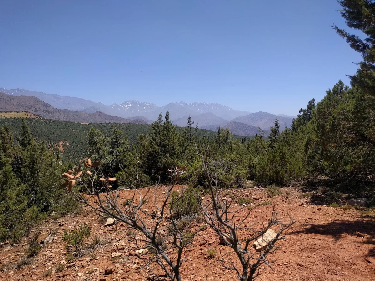 Trail to Hike Jbel (Mount) Zalagh in Fes - Ask AI | mindtrip