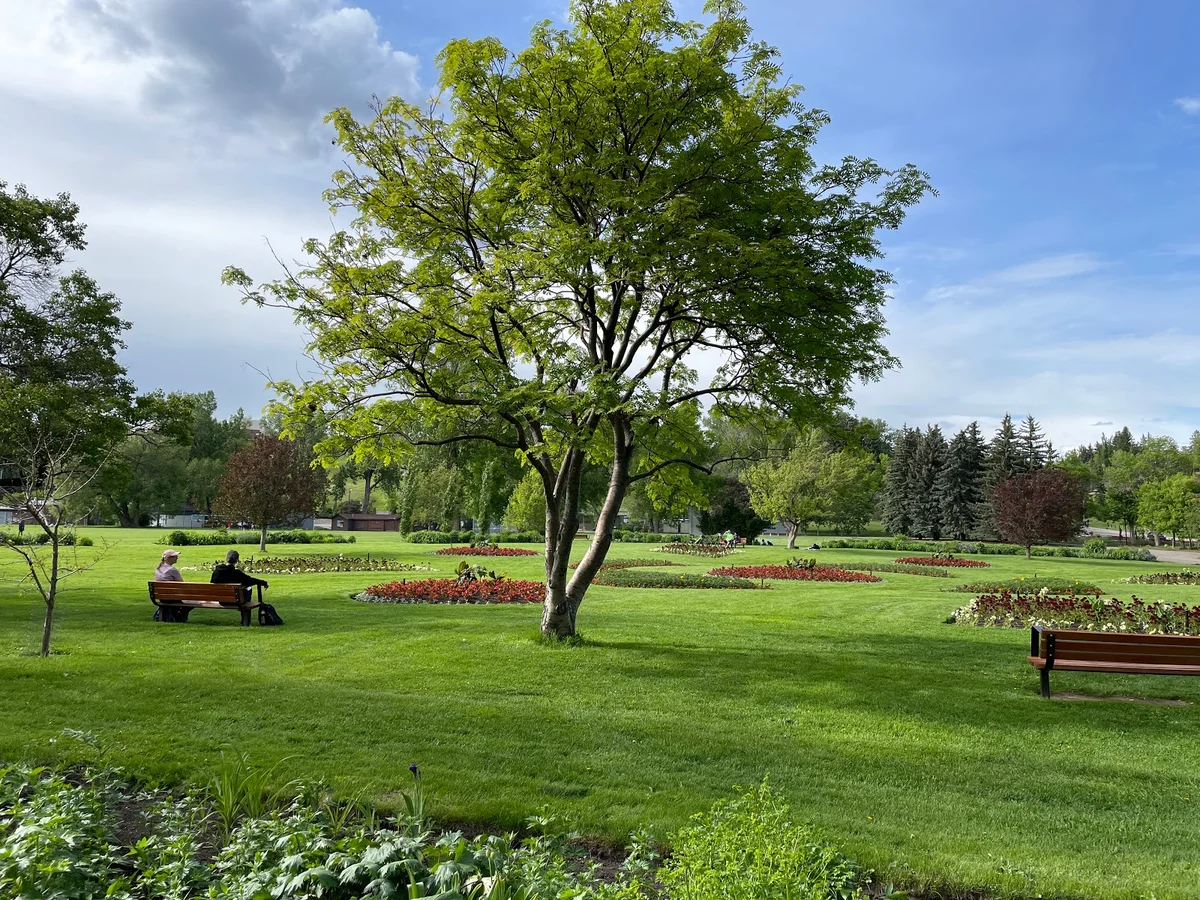 Riley Park in Calgary, Alberta - Ask AI | mindtrip