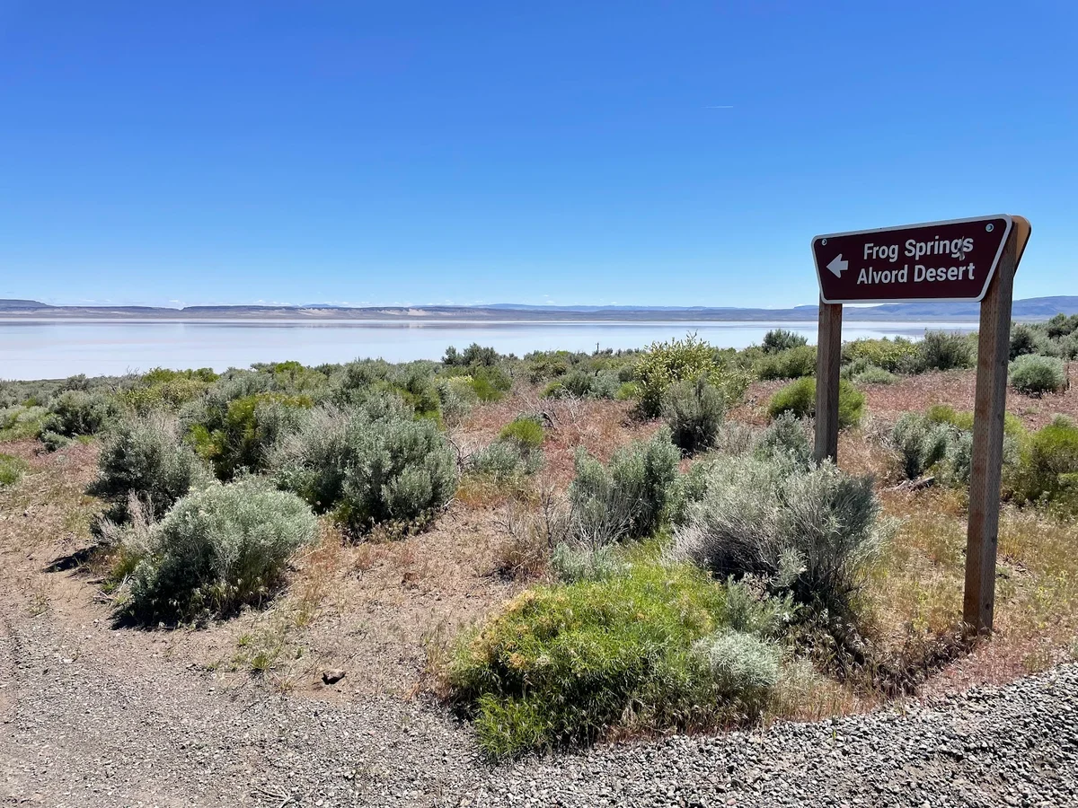 Frog Spring - Alvord Desert Access in Oregon | Ask Anything