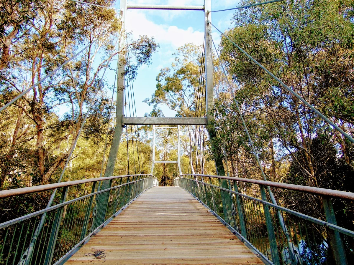 Berrinba Wetlands | What to Know Before You Go