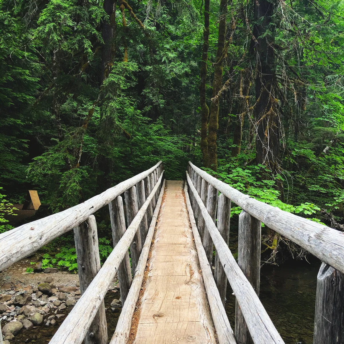 Bigelow Hot Springs in McKenzie Bridge | Ask Anything