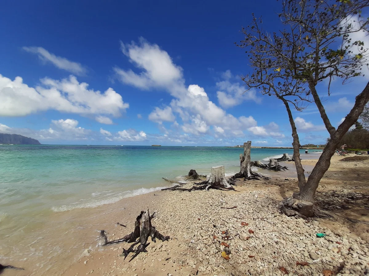 Hale Koa Beach in Kailua | What to Know Before You Go