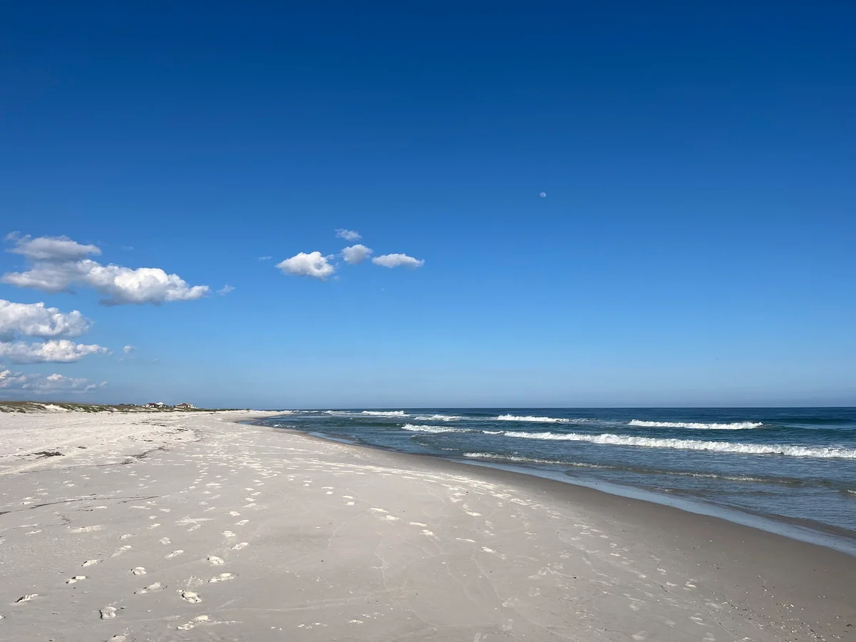 Pine Beach Trail in Gasque | What to Know Before You Go