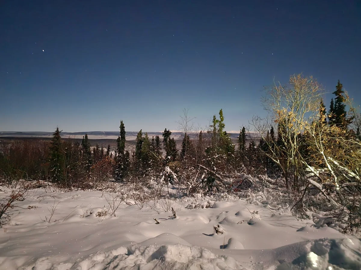 Aurora Viewing Area in Fox, Alaska - Ask AI | mindtrip